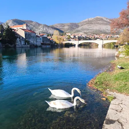 Апартаменты Marija