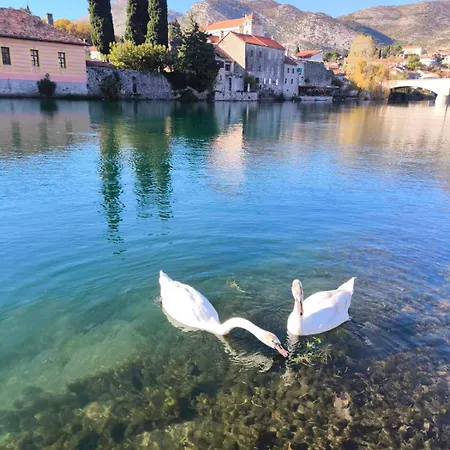 Marija * Trebinje